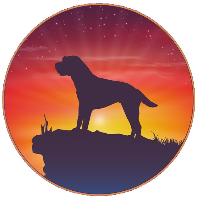 SOFT COATED WHEATEN TERRIER  SWEATSHIRT (Check out what I found! 🙂 I’m so excited to hear your feedback! 😍)