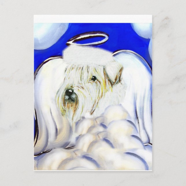 Soft Coated Wheaton Postkarte (Vorderseite)