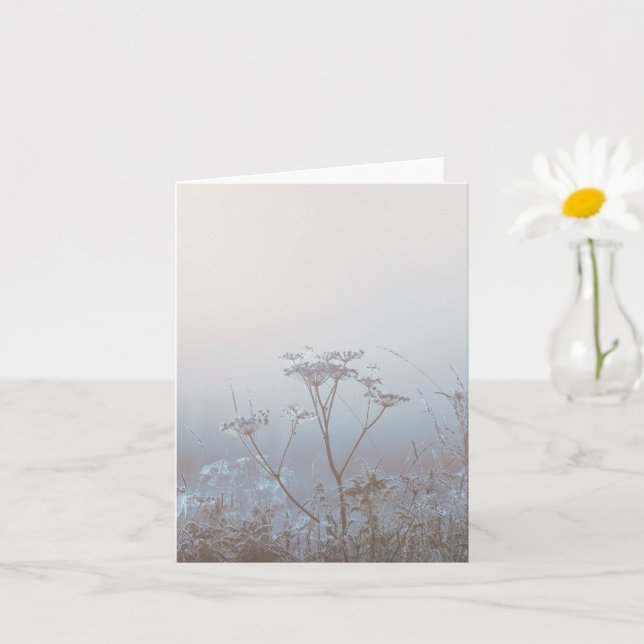 Soft Frosty Morning Nature Sympathy Karte (Kleine Pflanze)