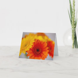 Soft Gerber Bunch Karte