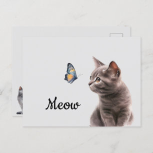 Soft Gray Meow Cat Postkarte