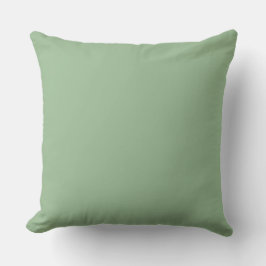 Soft Green,Lovely, Solid, Modern, Simple, Trendy Kissen