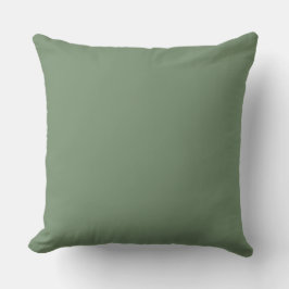 Soft Green Solid Color, Simple,Modern, Trendy Kissen