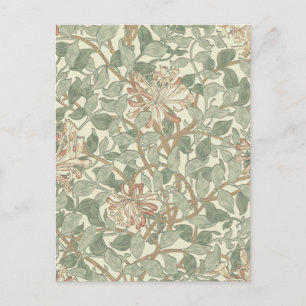 Soft Green Vintag William Morris Honeysuckle Postkarte