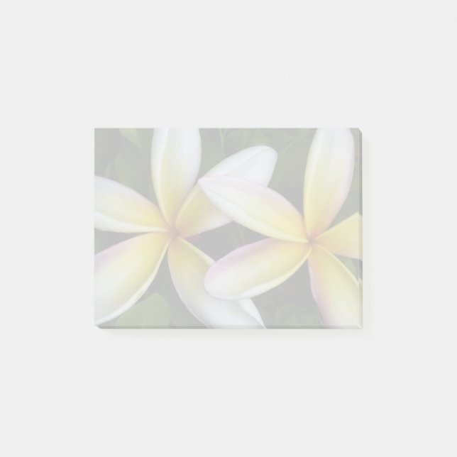 Soft Hawaiian Plumerias Post-it Klebezettel (Vorderseite)
