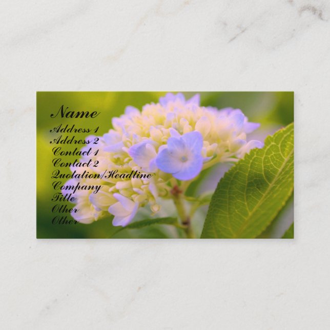 Soft Hydrangea Blume Business Card Visitenkarte (Vorderseite)