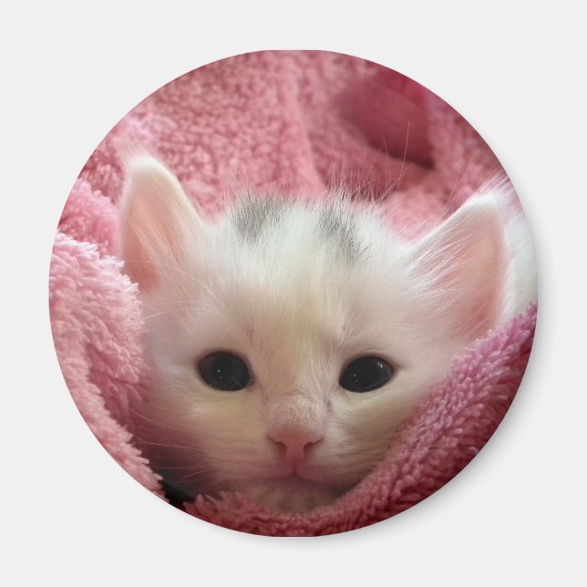 Soft Kitten Magnet (Vorne)