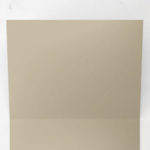 Soft Light Beige Hintergrund Neutrale Festfarbe Dreifach Gefaltete Einladung
