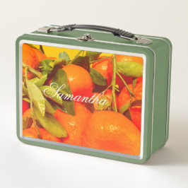 Soft Orange Frucht Ästhetik Metall Brotdose