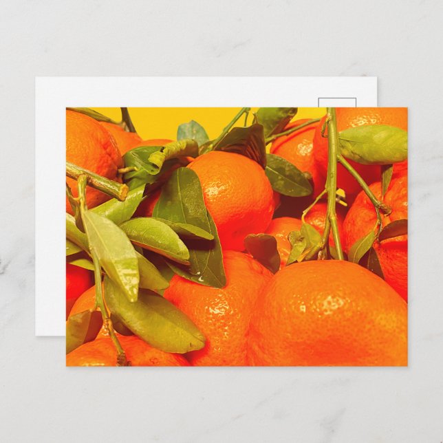 Soft Orange Frucht Ästhetik Postkarte (Vorne/Hinten)
