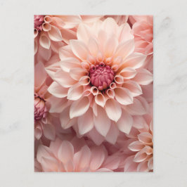 soft pastel colored dahlia flower  postkarte