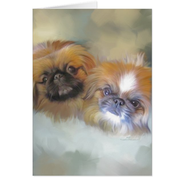 Soft Pekingese Duo (Vorne)