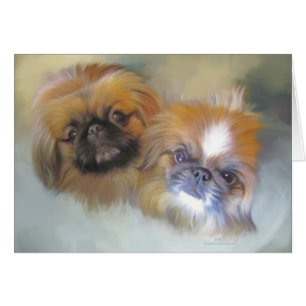 Soft Pekingese Duo