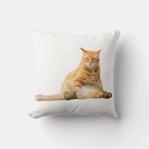 Soft pillow with a cute orange cat kissen