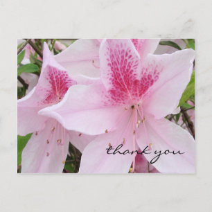 Soft Pink Azaleas - Danke Postcard Postkarte