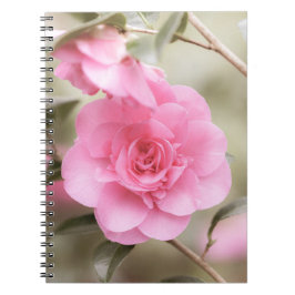 Soft Pink Camellier Blume Notebook Notizblock