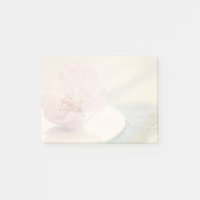 Soft Pink Cherry Blossom Blume