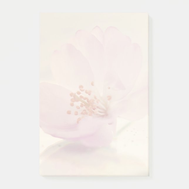 Soft Pink Cherry Blossom Blume Post-it Klebezettel (Vorderseite)