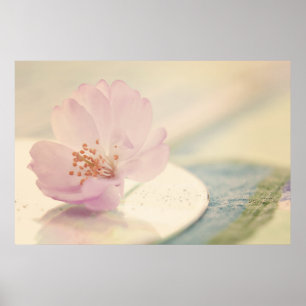 Soft Pink Cherry Blossom Blume Poster