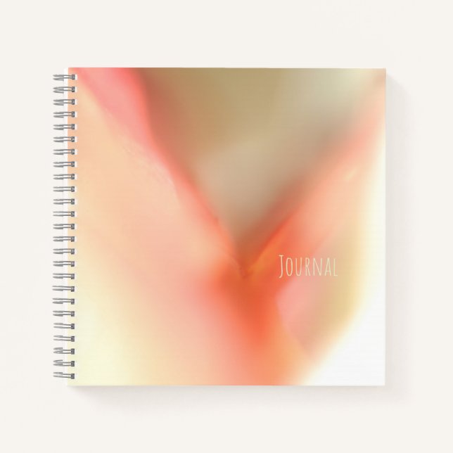 Soft Pink Color Spiral Notebook Notizbuch (Vorderseite)
