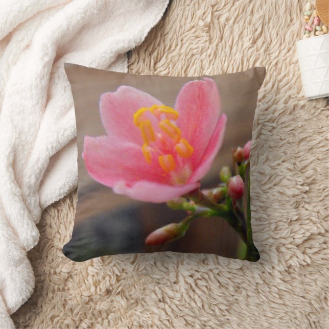 Soft Pink Jatropha Blume Kissen (Decke)