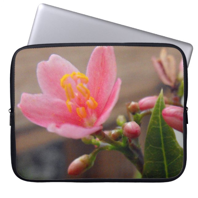 Soft Pink Jatropha Blume Laptopschutzhülle (Vorderseite)