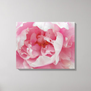 Soft Pink Peony Elegant Fotografie auf Leinwand