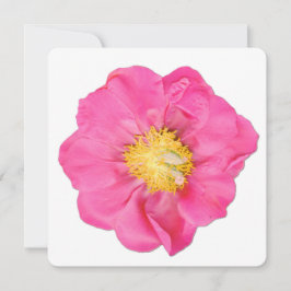 Soft Pink Pfingstrose Blumen Botanische Kunstkarte Einladung