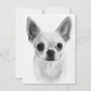Soft Soul - Handgezeichnetes Chihuahua-Portrait Postkarte