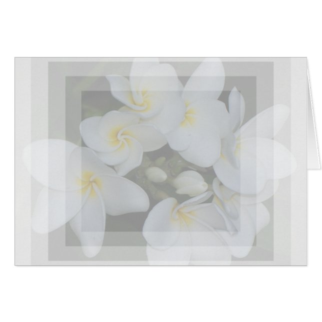 soft&sweet (Vorderseite (Horizontal))