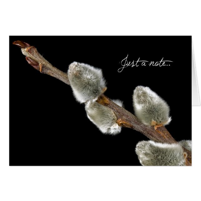 Soft Touch (Vorderseite (Horizontal))