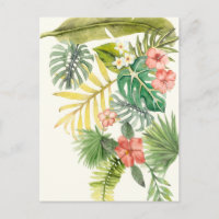 Soft Tropics