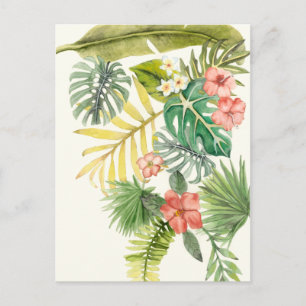 Soft Tropics Postkarte