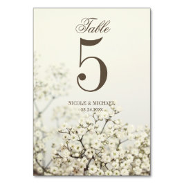 Soft Vintages Gipskraut Hochzeit Tischnummer