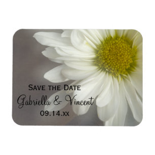 Soft White Daisy auf der grauen Hochzeit Speichern Magnet