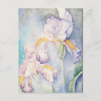 Softest Iriss Floral Watercolor Postkarte