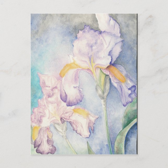 Softest Iriss Floral Watercolor Postkarte (Vorderseite)