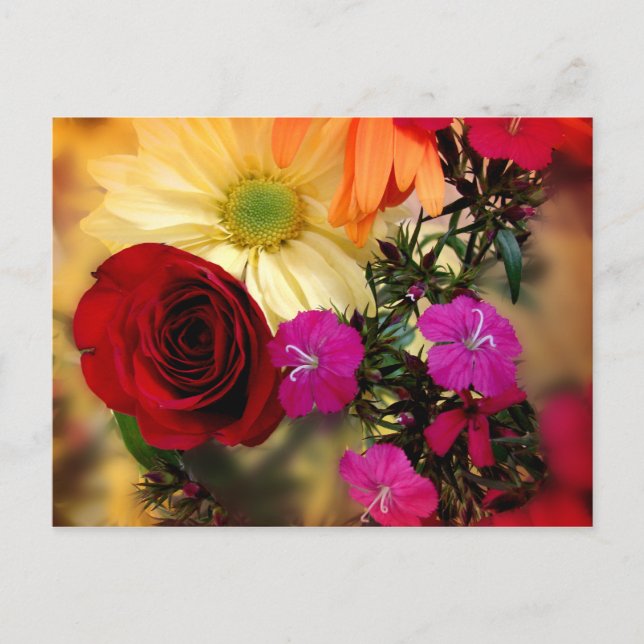 Softly Yours Postkarte (Vorderseite)