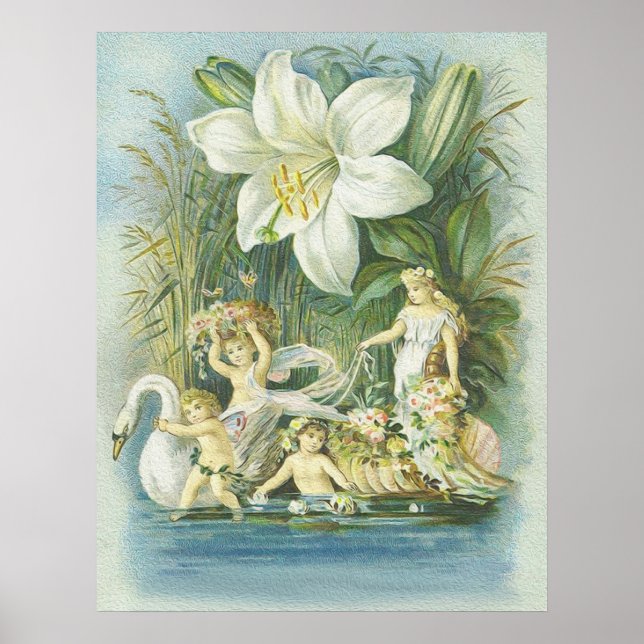 Softness - Feen, Schwan und Blume Poster (Vorne)