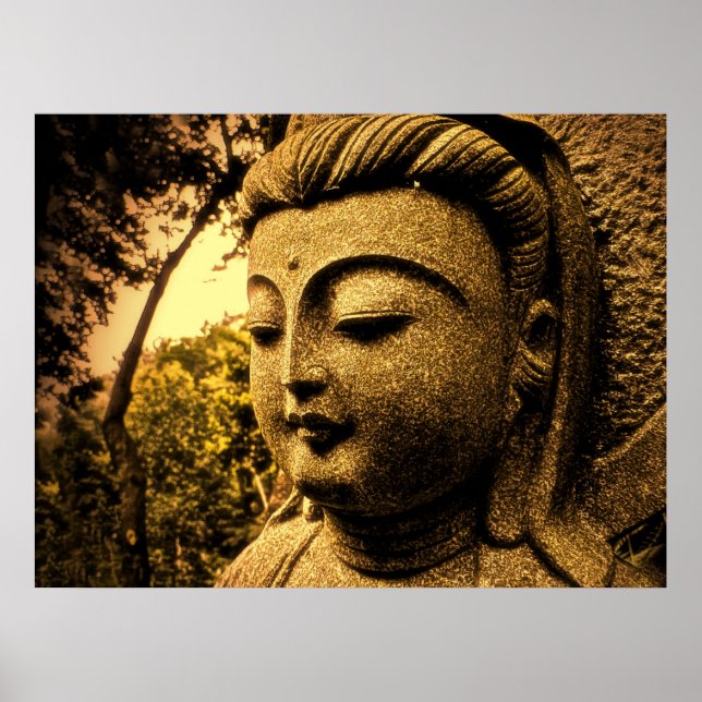 SOFTPEACE POSTER (Vorne)