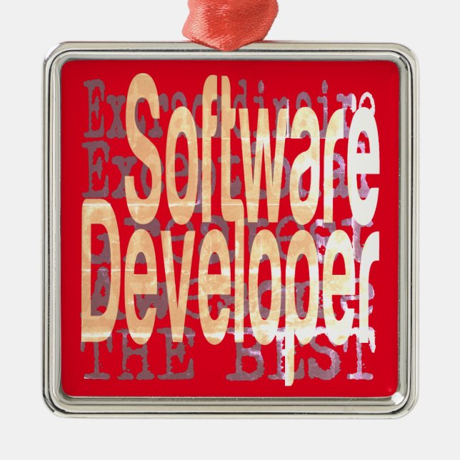 Software-Entwickler-Sonderbeauftragter Ornament Aus Metall (Vorne)