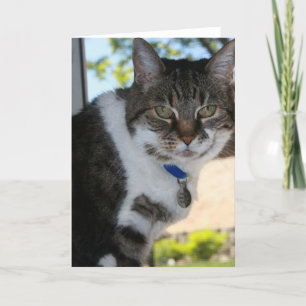 Softy Blank Grußkarte Karte