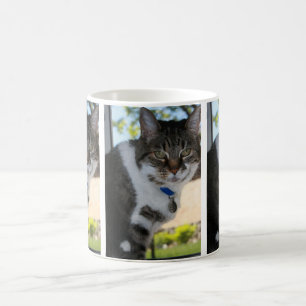 Softy Tabby Cat Tasse