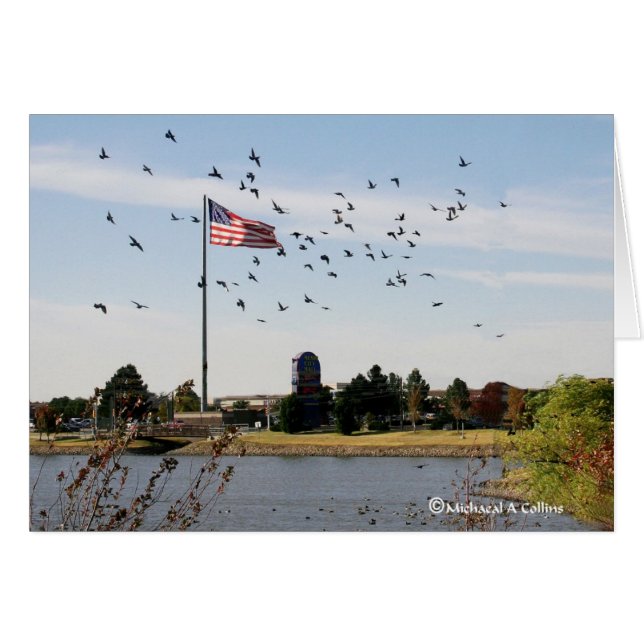 Sogar die Enten-Liebe die USA (Vorderseite (Horizontal))