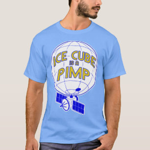 Sogar die Lichter des Spy-Ballons gesehen hat es g T-Shirt