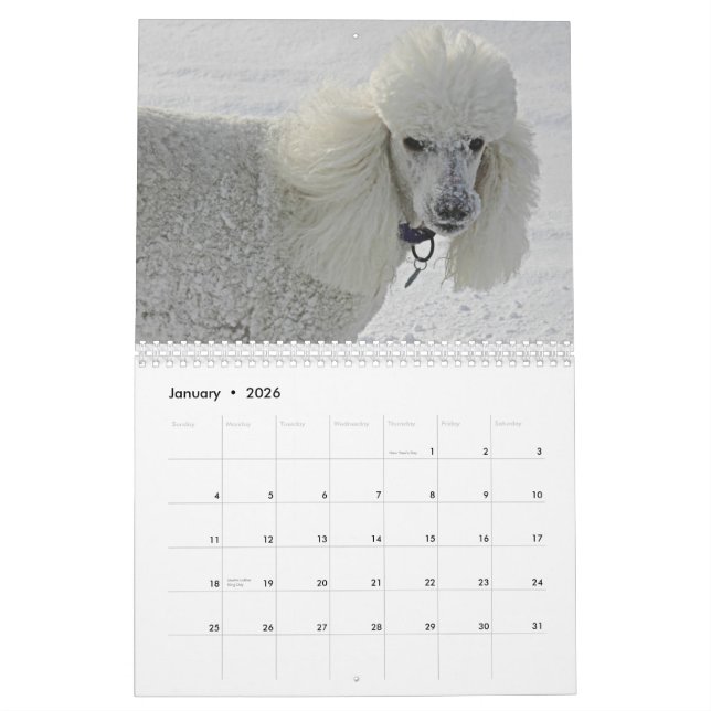 Sogar Hunde nehmen Zeit, die Blumen zu riechen Kalender (Jan 2026)