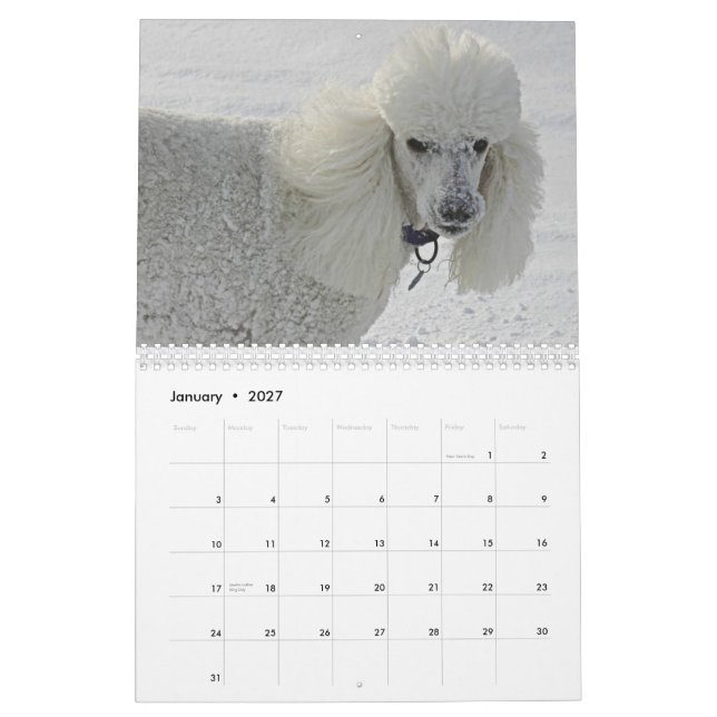 Sogar Hunde nehmen Zeit, die Blumen zu riechen Kalender (Jan 2027)