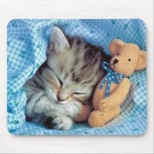 Sogar Kätzchen-Liebe-Teddy-Bären Mousepad