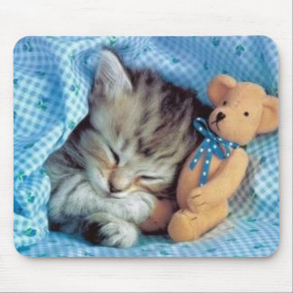 Sogar Kätzchen-Liebe-Teddy-Bären Mousepad