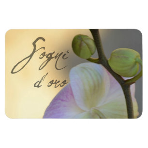 Sogni D'oro (süße Träume) Orchidee Magnet